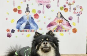 お雛様🎎準備完了(^^♪