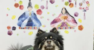 お雛様🎎準備完了(^^♪