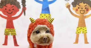 あまぐりちゃん