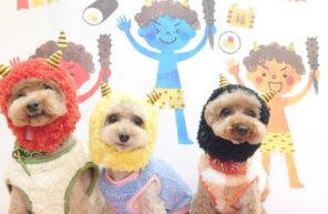 まもちゃん一家、ご来店