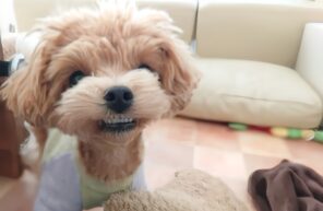 ニカ～～っっ！！😁