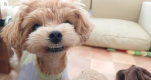 ニカ～～っっ！！😁