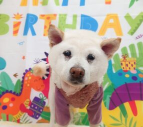 わさこちゃんお誕生日おめでとう🎉