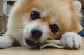 慣れるの早いっっ！