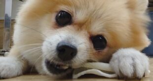 慣れるの早いっっ！