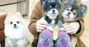 会いに来てくれました(*^-^*)