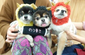 可愛い鬼さん💛