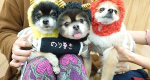 可愛い鬼さん💛