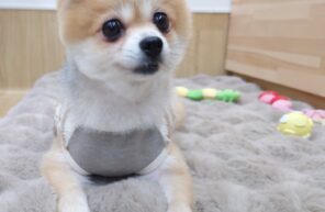 カットしたよ✂