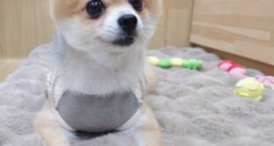 カットしたよ✂