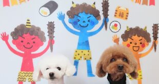 カズ君＆ソラ君