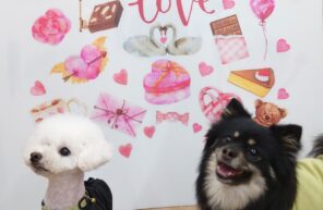 バレンタインデー