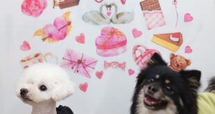 バレンタインデー