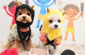 撮影準備、完了📸✨✨