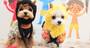 撮影準備、完了📸✨✨