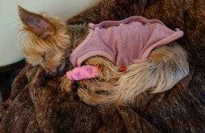 なおるちゃん、奇跡を起こします！