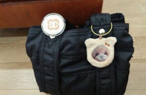 大切にしてくれてありがとう🎵🎵