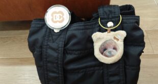 大切にしてくれてありがとう🎵🎵