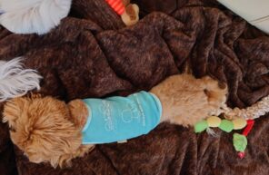 こんな子いたっけ？！