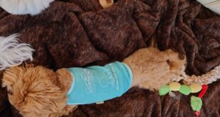 こんな子いたっけ？！