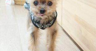 幸せだった1年半・・