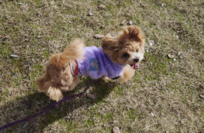 お散歩行ったよ☆