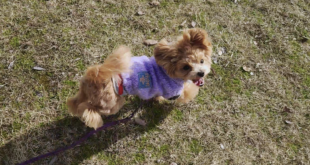 お散歩行ったよ☆