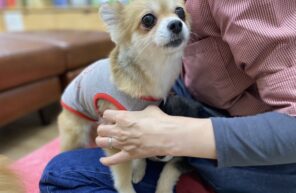 マッサージ大好き