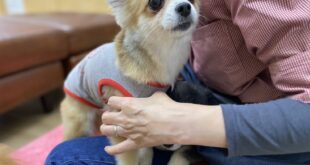 マッサージ大好き