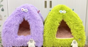 可愛いベッドが入荷しました 可愛いベッドが入荷しました