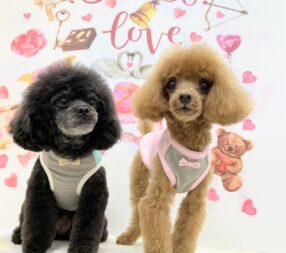 レオンくん＆ロイくん