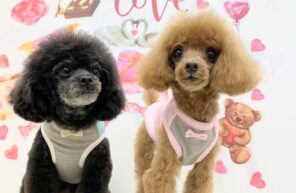 レオンくん＆ロイくん