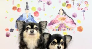 うるんちゃん＆めめちゃん