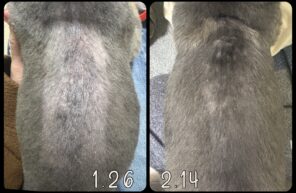 テオ君の背中がっ✨✨