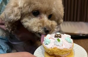 ナルちゃんお誕生日おめでとう🎂