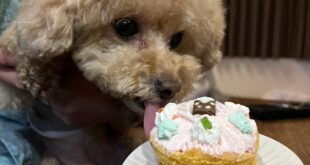 ナルちゃんお誕生日おめでとう🎂