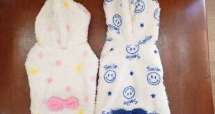 テラヘルツのポンチョ