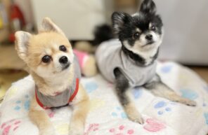 手術組、出勤してます☆