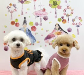 みりぃちゃん&ららちゃん みりぃちゃん&ららちゃん