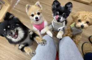 食いしん坊レンジャー✨✨