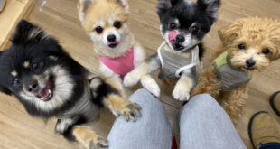 食いしん坊レンジャー✨✨