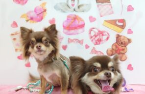 りる君＆もにちゃん