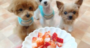 お見舞いありがとうございます。