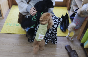 大喜び(≧▽≦)