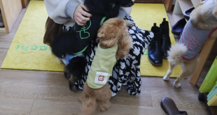 大喜び(≧▽≦)