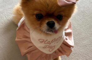 ぺこちゃんお誕生日おめでとう🎊