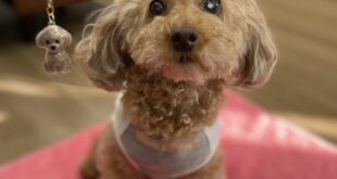 可愛いキーホルダー