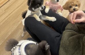 ごきげんさん(#^.^#)