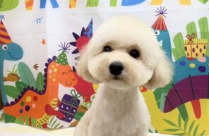 お誕生日おめでとう🎉