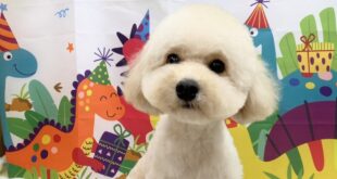 お誕生日おめでとう🎉